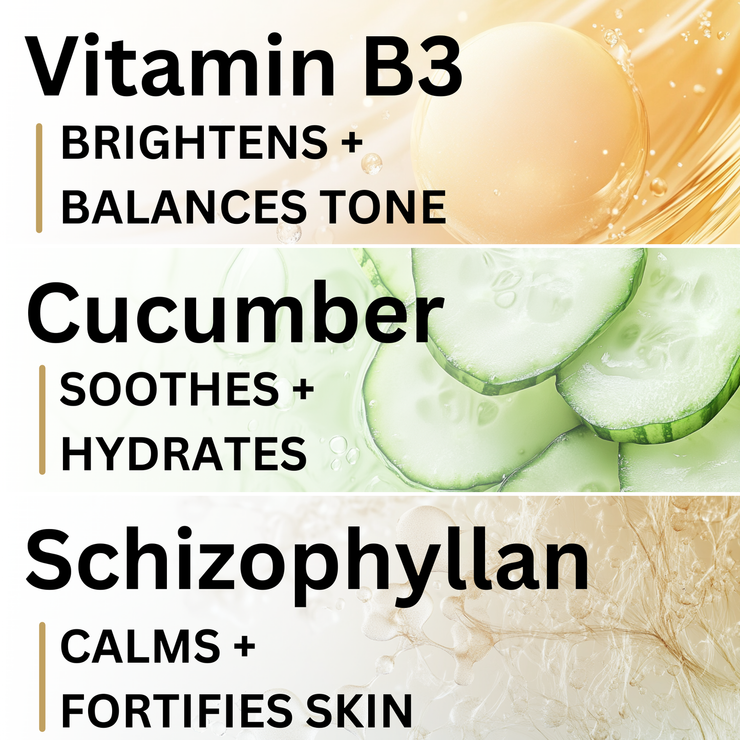 Face cleanser ingredients — willow bark, cucumber extract, niacinamide for soothing and hydration